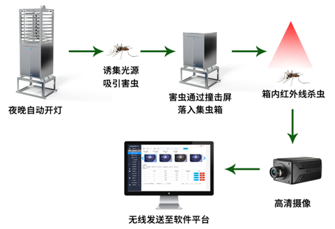 农业虫情监测系统